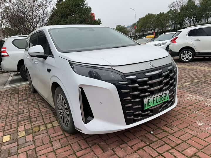 Фото 3 - BYD Xia