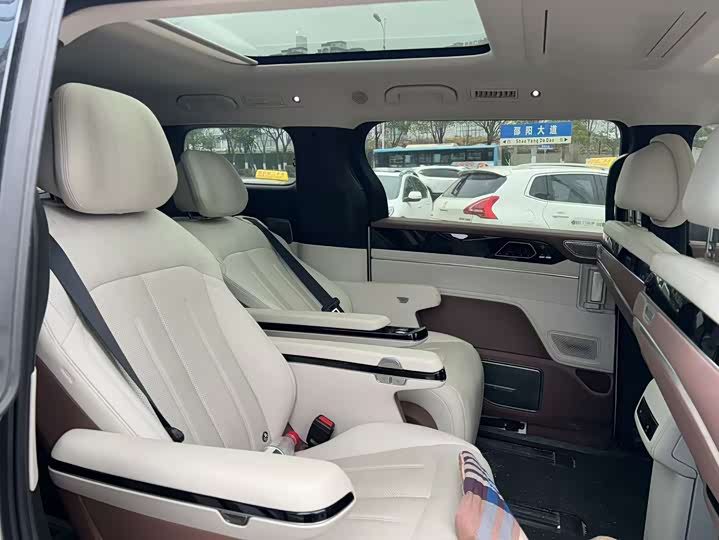 Фото 6 - BYD Xia