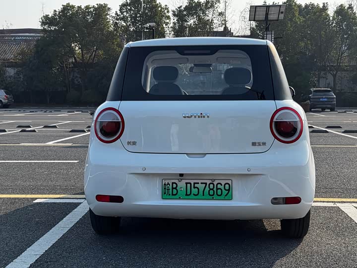 Фото 8 - Changan Qiyuan (Nevo) Lumin