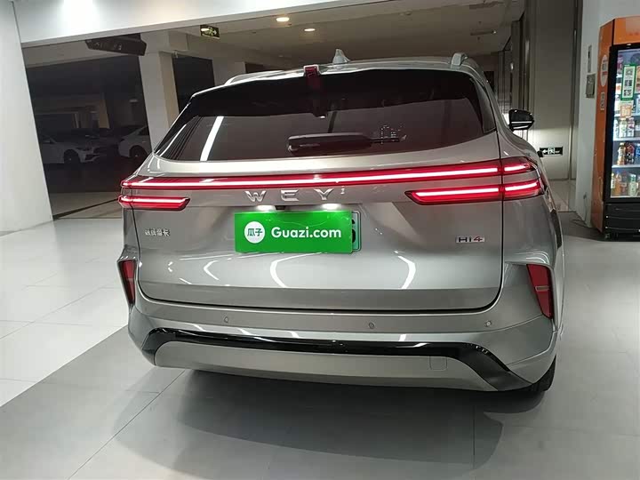 Фото 6 - Wey Mocca Hybrid