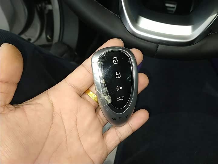 Фото 9 - Wey Mocca Hybrid