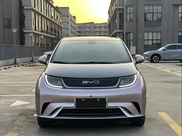 Фото 1 - BYD Dolphin