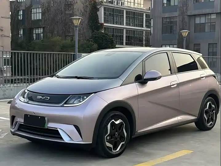 Фото 2 - BYD Dolphin