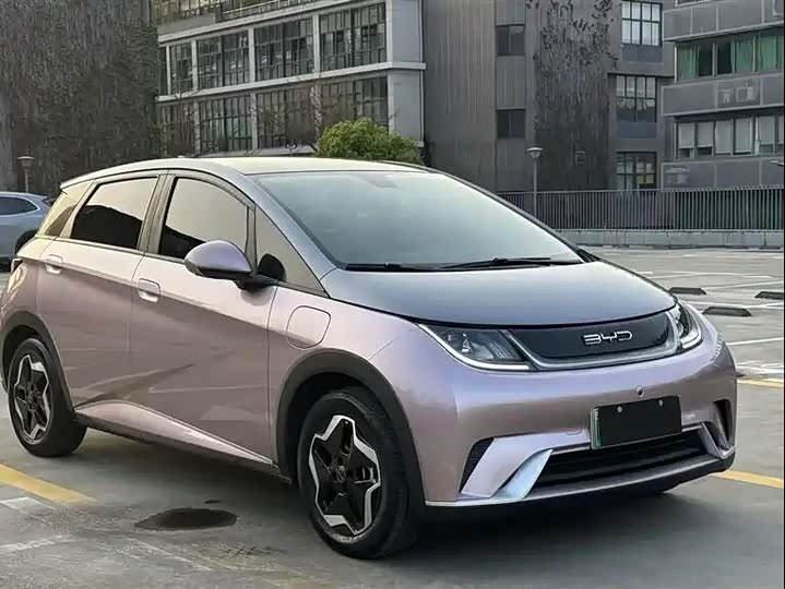 Фото 3 - BYD Dolphin