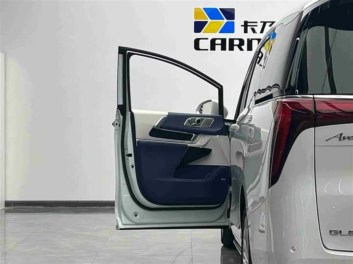 Фото 2 - Buick GL8 Century