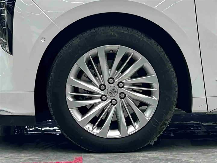 Фото 3 - Buick GL8 Century