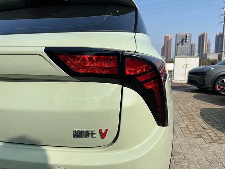 Фото 8 - Hozon V