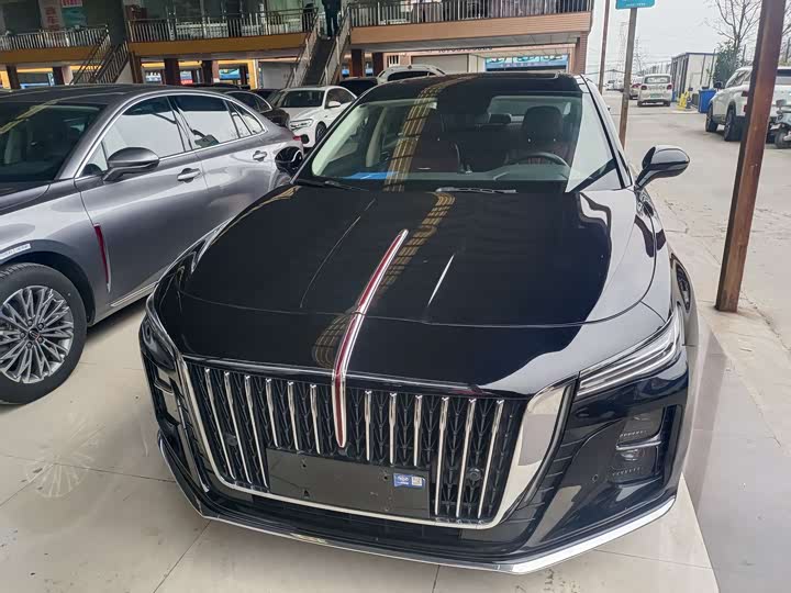 Фото 2 - Hongqi H5