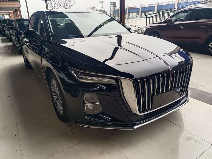 Фото 3 - Hongqi H5
