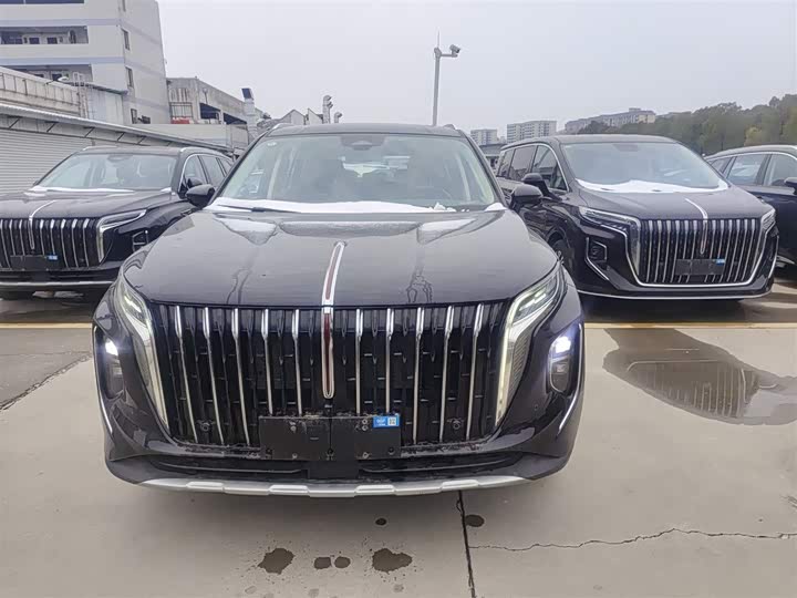 Фото 3 - Hongqi HS7 Hybrid
