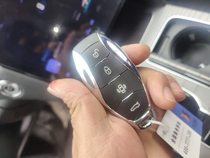 Фото 9 - Hongqi HS7 Hybrid