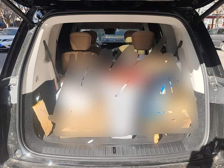 Фото 4 - Exeed Sterra ET