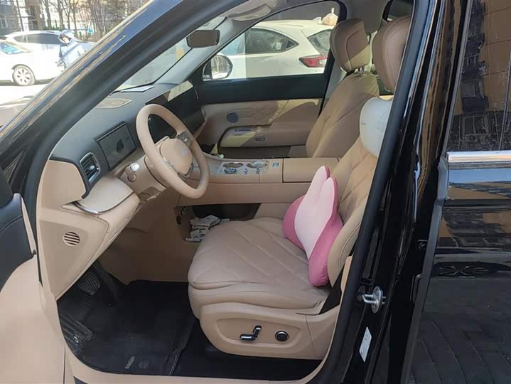 Фото 9 - Exeed Sterra ET