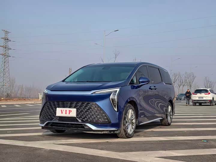 Фото 1 - Buick GL8 Century