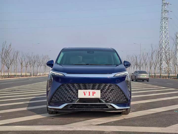 Фото 2 - Buick GL8 Century