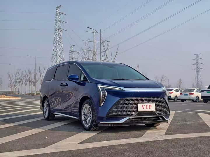 Фото 3 - Buick GL8 Century