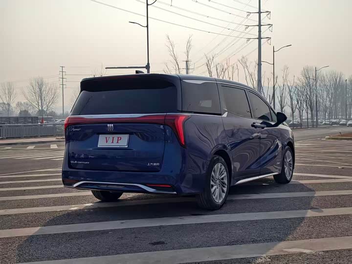 Фото 9 - Buick GL8 Century