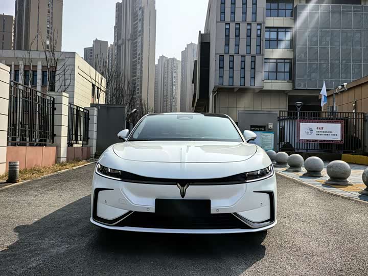 Фото 2 - Voyah Passion