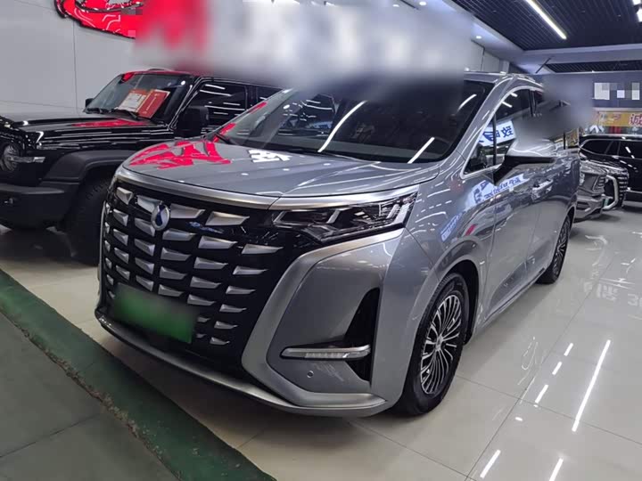 Фото 1 - Denza D9