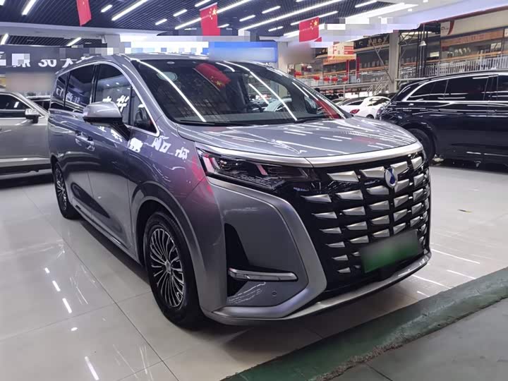 Фото 4 - Denza D9