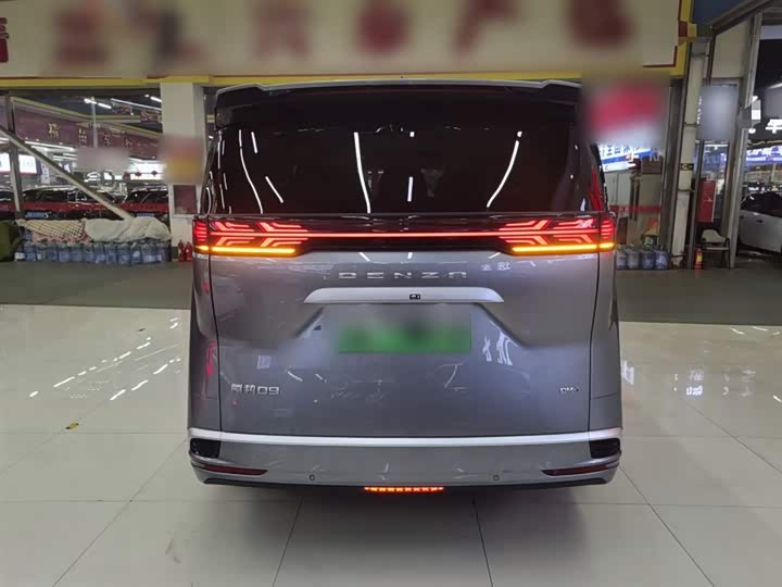 Фото 6 - Denza D9