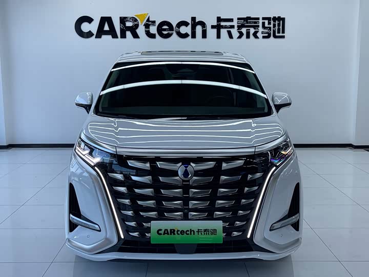 Фото 2 - Denza D9