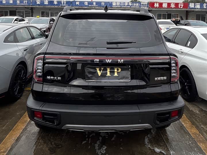 Фото 4 - Haval Dargo