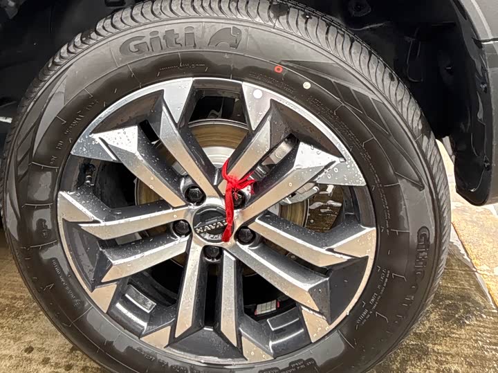 Фото 7 - Haval Dargo