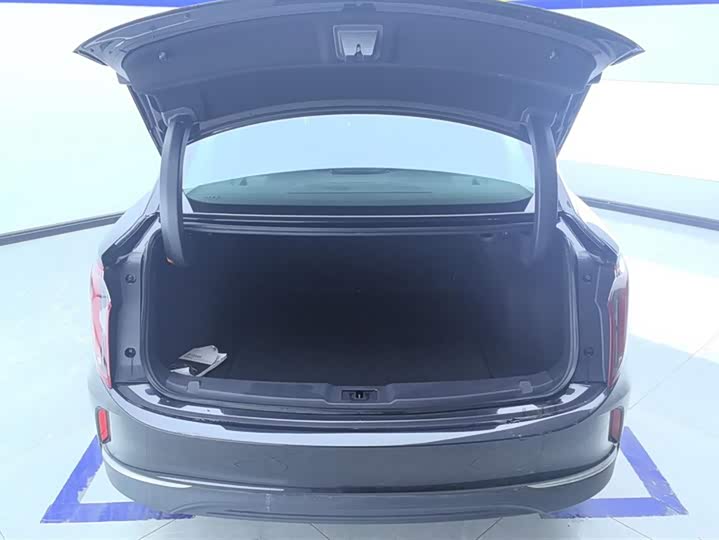 Фото 4 - Hongqi E-QM5