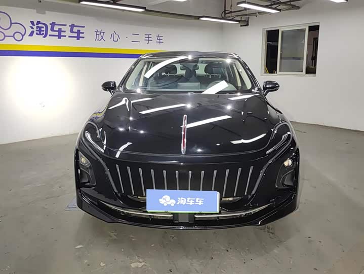 Фото 2 - Hongqi E-QM5