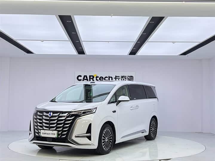 Фото 1 - Denza D9