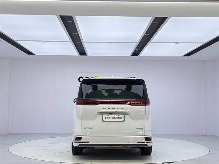 Фото 4 - Denza D9