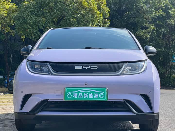 Фото 2 - BYD Dolphin