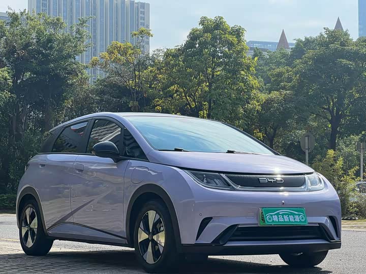 Фото 3 - BYD Dolphin