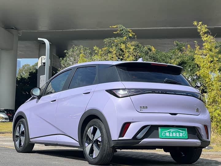 Фото 4 - BYD Dolphin