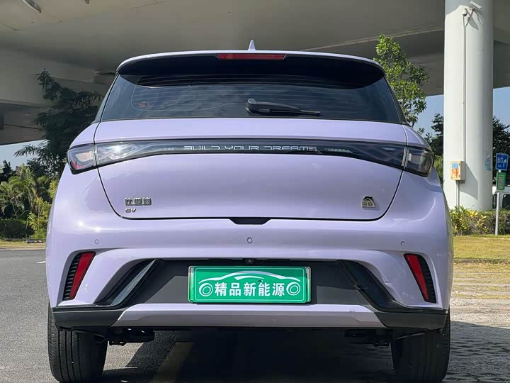 Фото 5 - BYD Dolphin