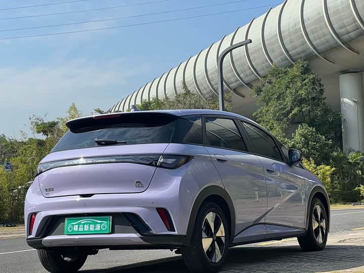 Фото 6 - BYD Dolphin