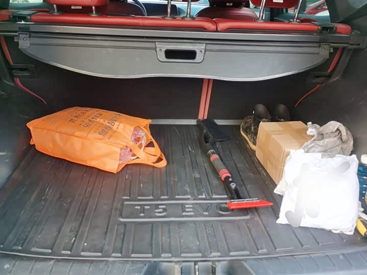 Фото 4 - Dongfeng Forthing T5 EVO