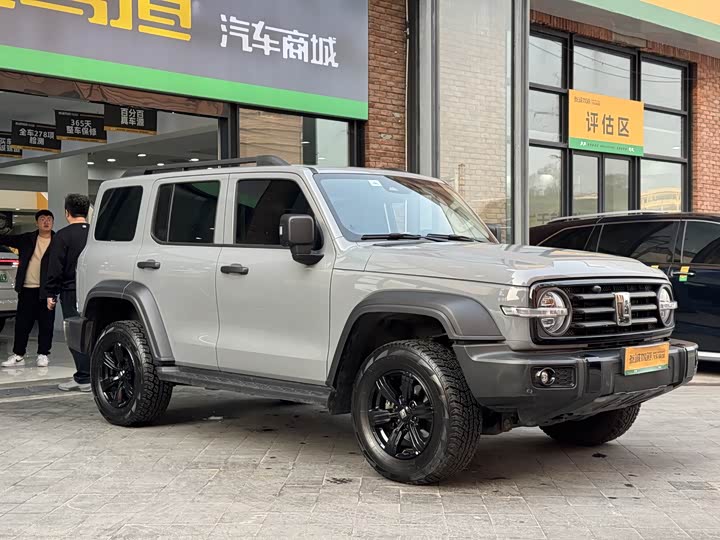 Фото 3 - Tank 300