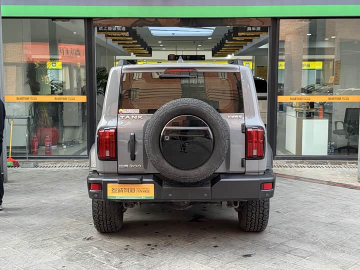 Фото 5 - Tank 300