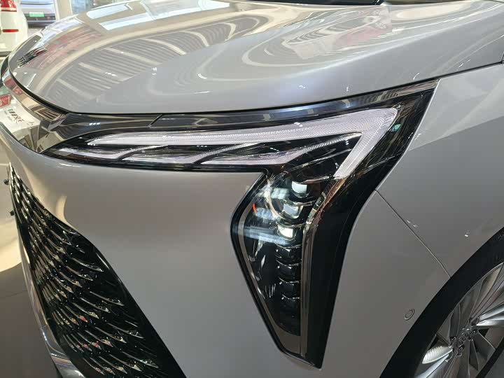 Фото 4 - Buick GL8 Century