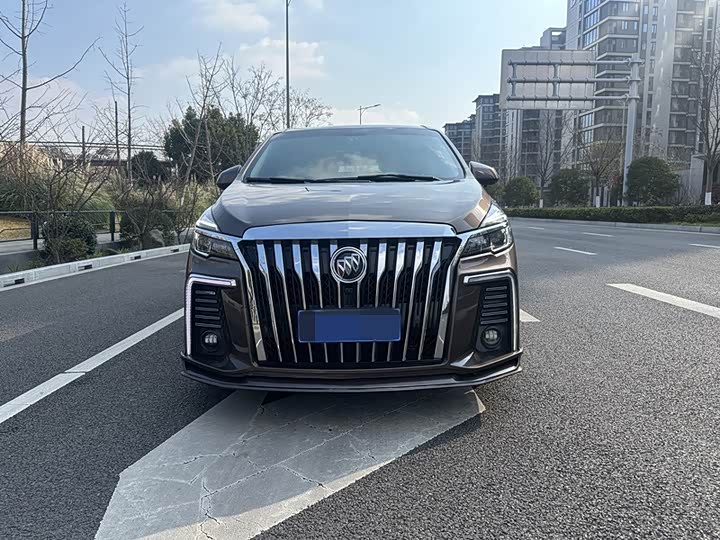 Фото 2 - Buick GL8 ES