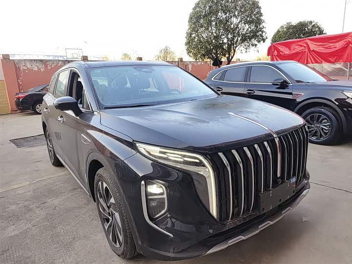 Фото 4 - Hongqi HS7 Hybrid