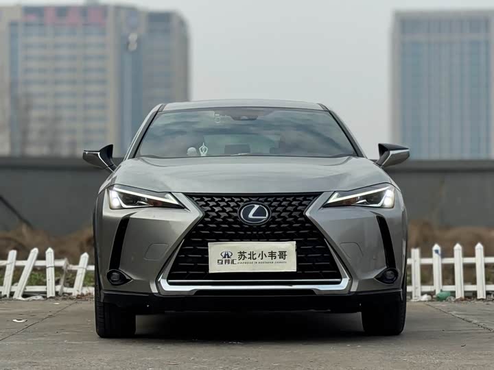 Фото 1 - Lexus UX