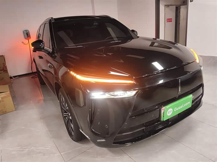 Фото 4 - Wey Lanshan