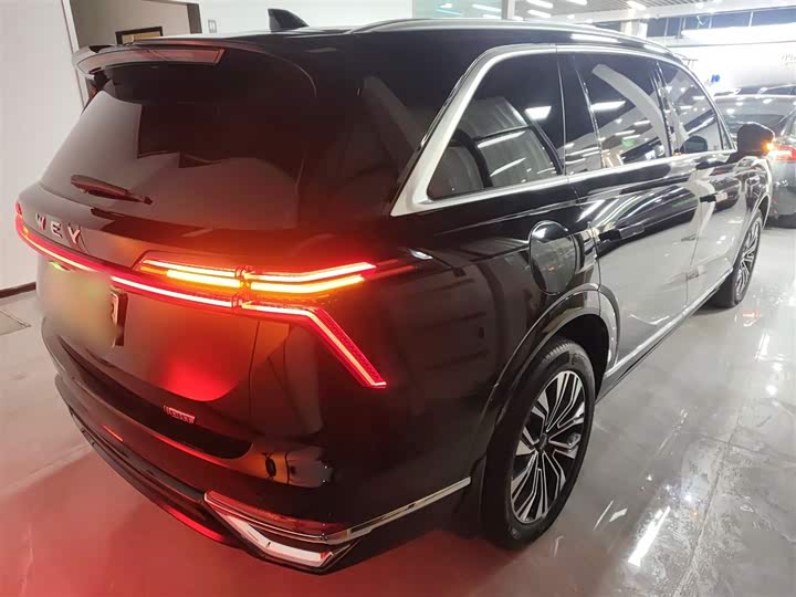 Фото 7 - Wey Lanshan