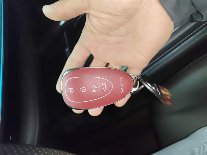 Фото 9 - Wey Lanshan