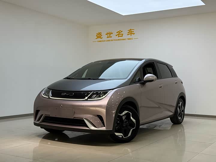 Фото 1 - BYD Dolphin