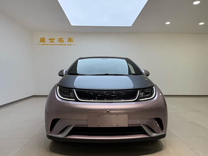 Фото 2 - BYD Dolphin