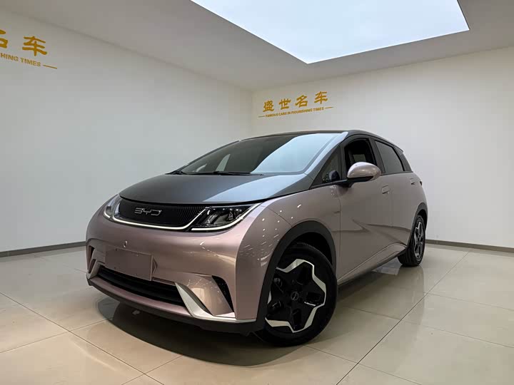 Фото 3 - BYD Dolphin